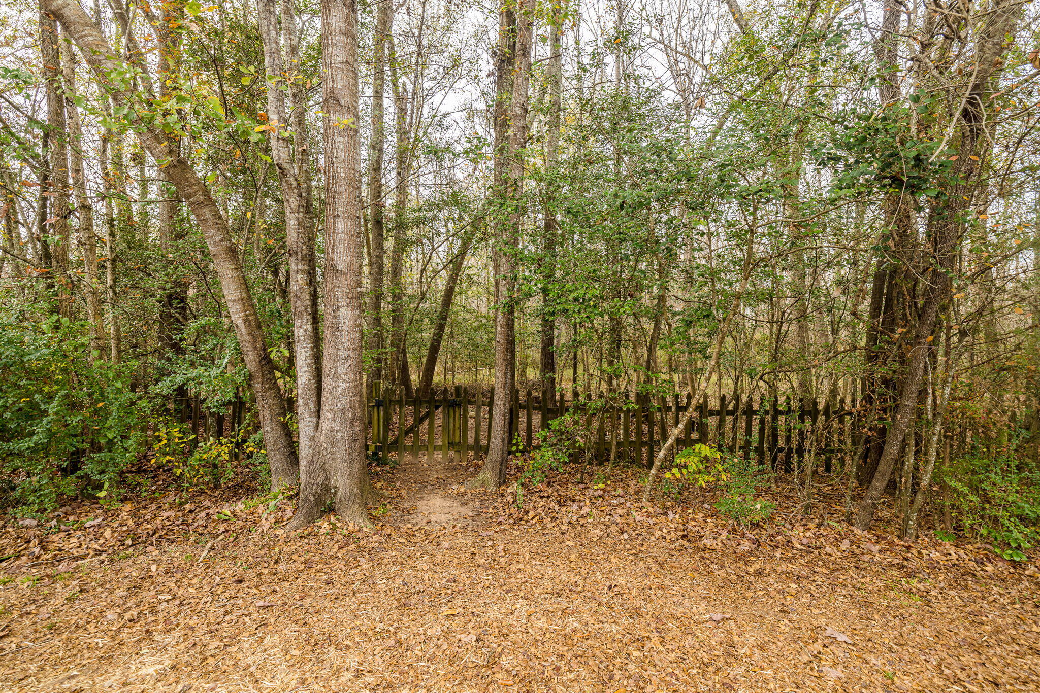 4562 COUNTRY GLEN Circle