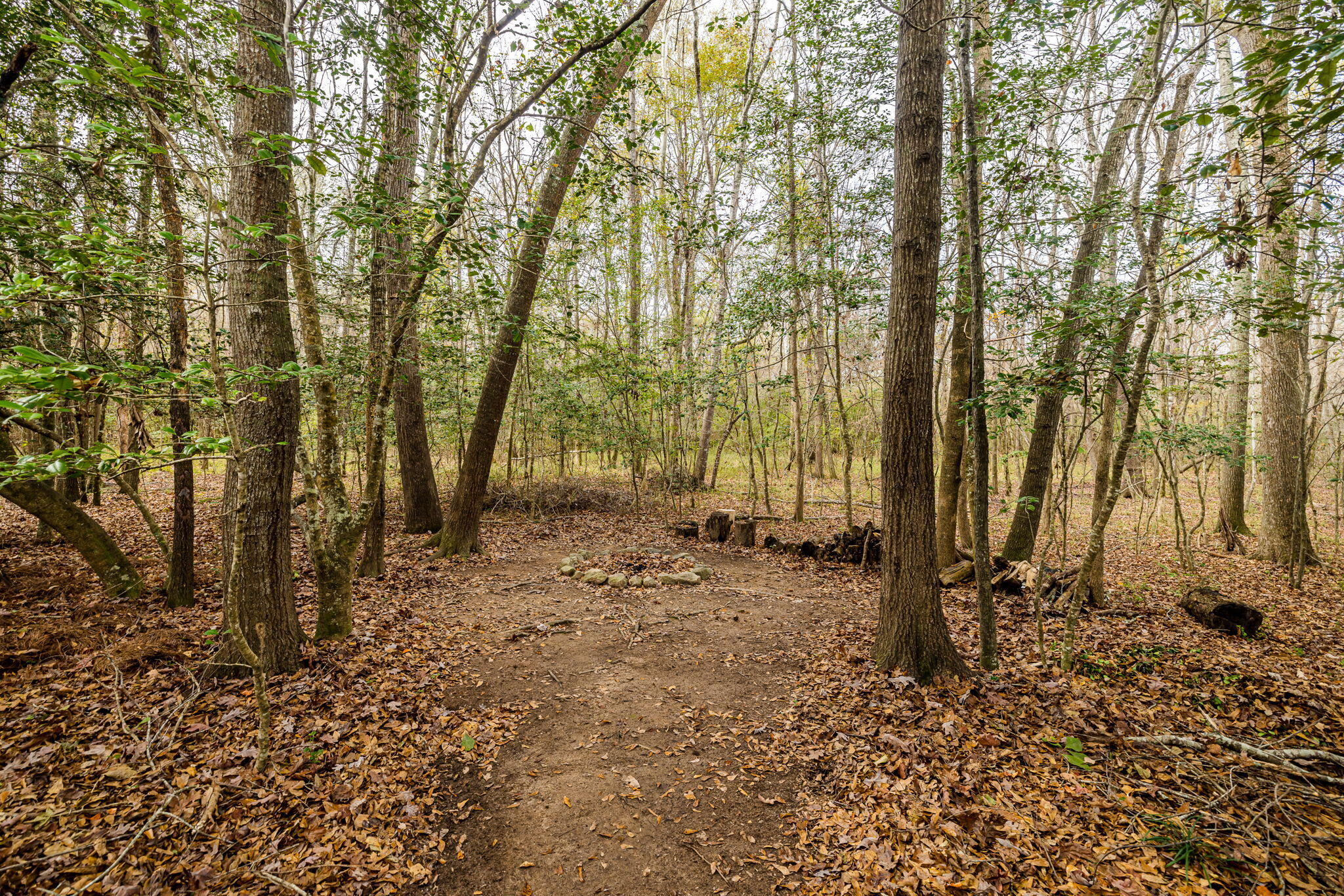 4562 COUNTRY GLEN Circle