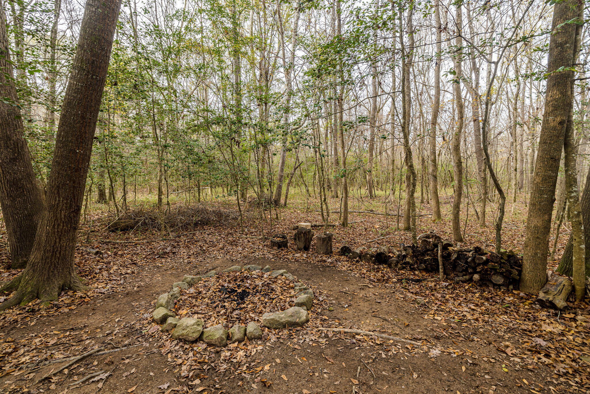 4562 COUNTRY GLEN Circle