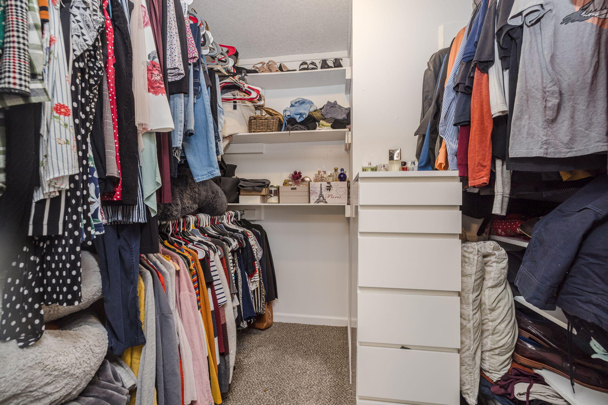 124 MAPLE CREEK Drive