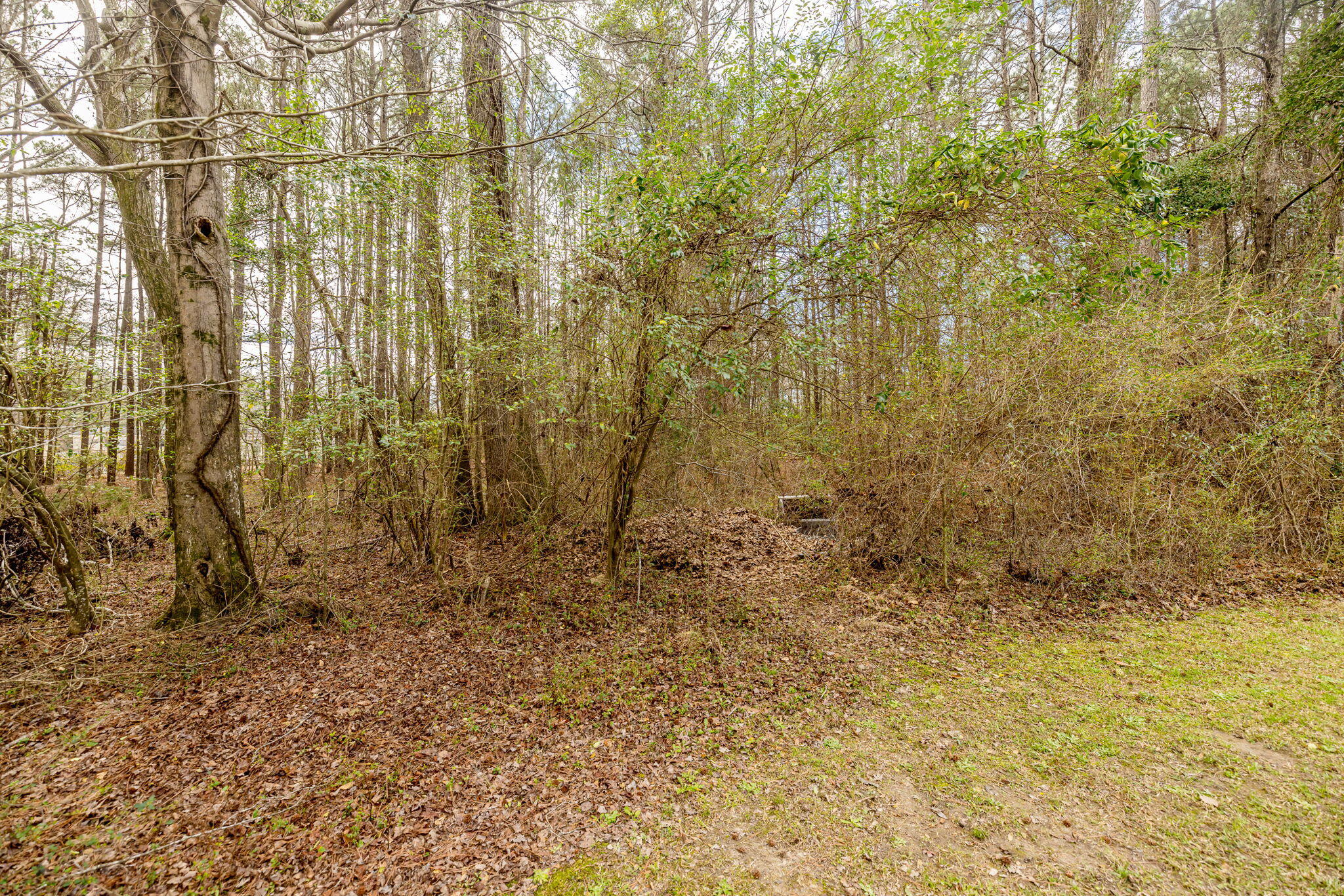 1565 POWELL CHURCH Road