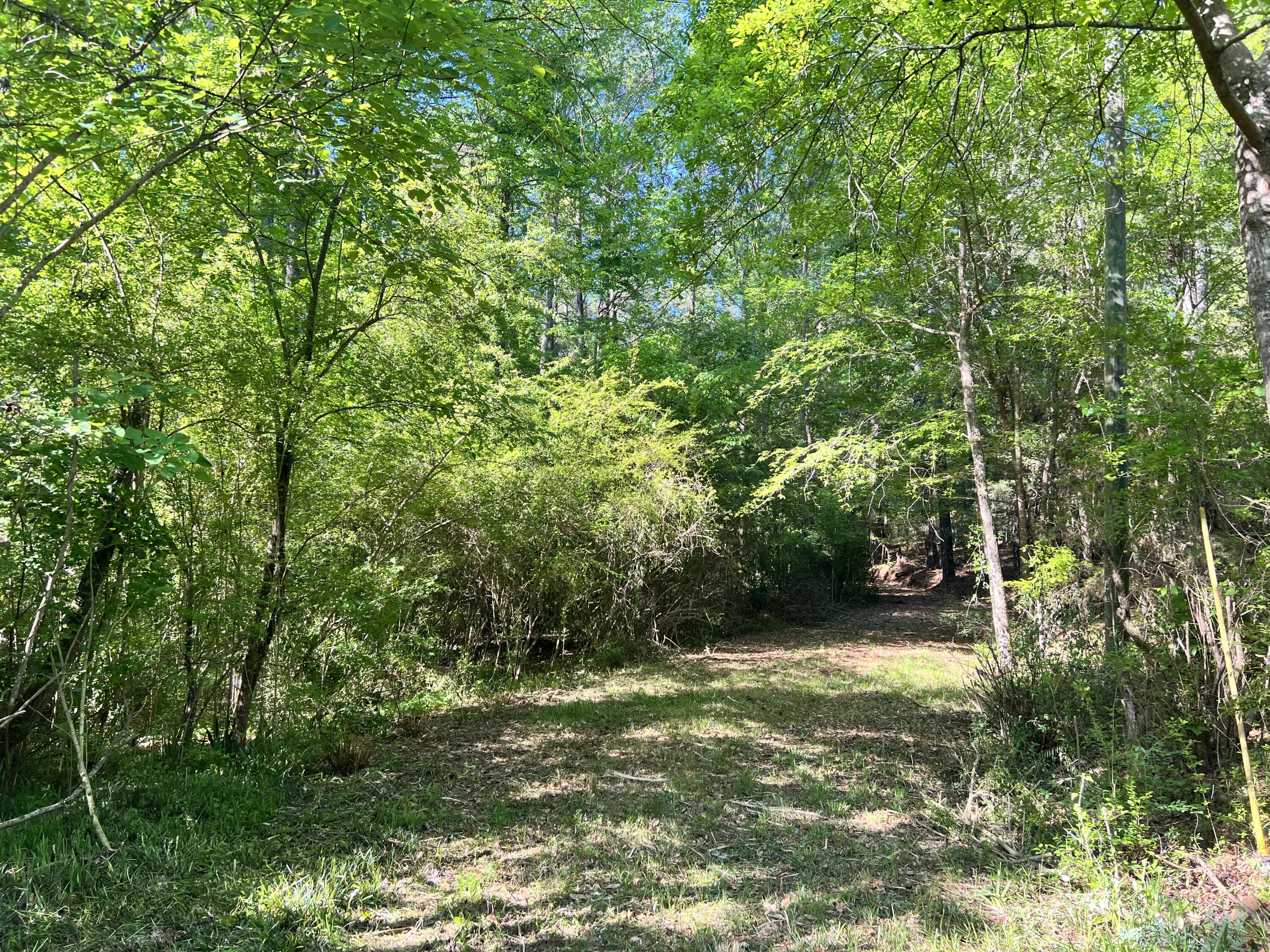 1899 LONERGAN HULME Road