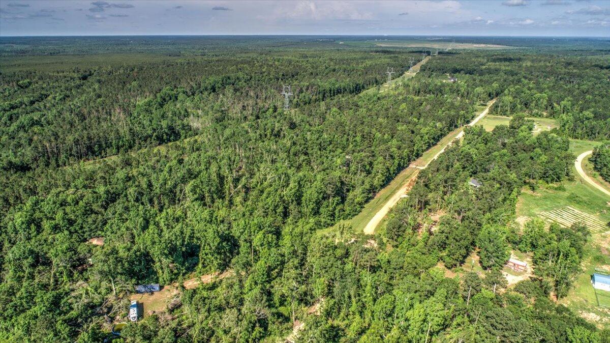 2544 Pine Needle Road