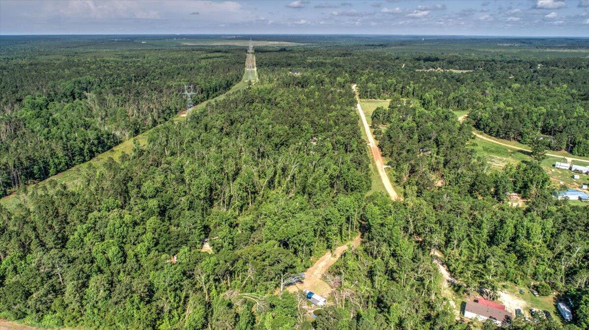 2544 Pine Needle Road