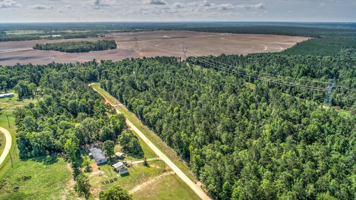 2544 Pine Needle Road