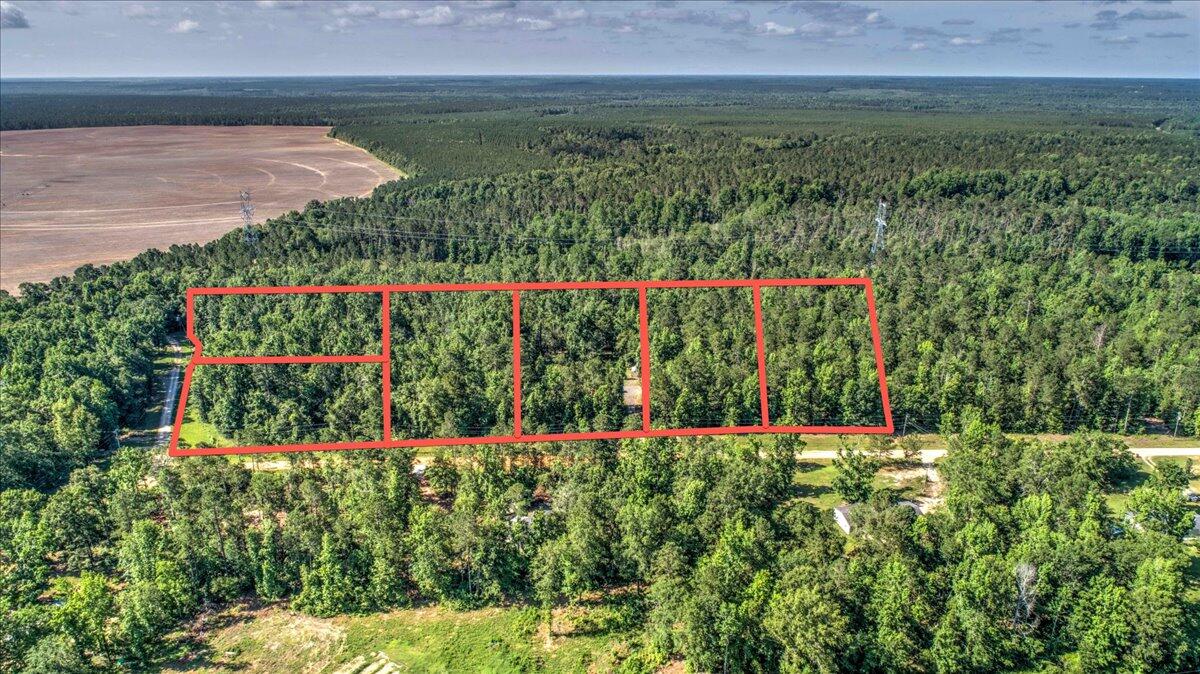 2544 Pine Needle Road