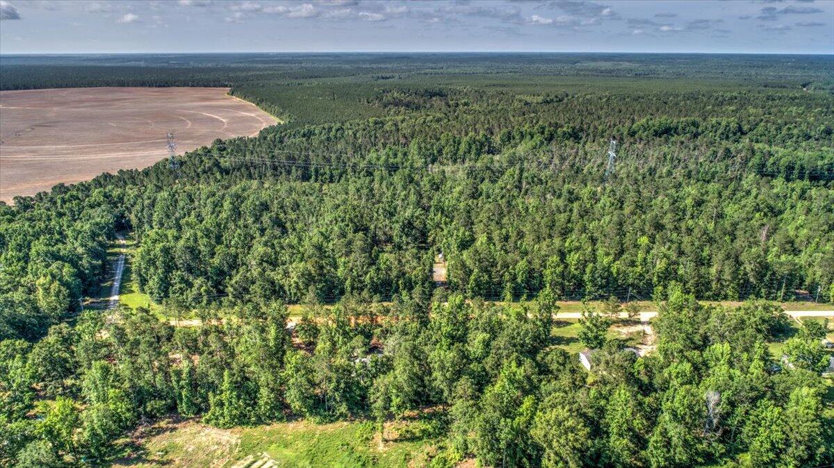 2544 Pine Needle Road