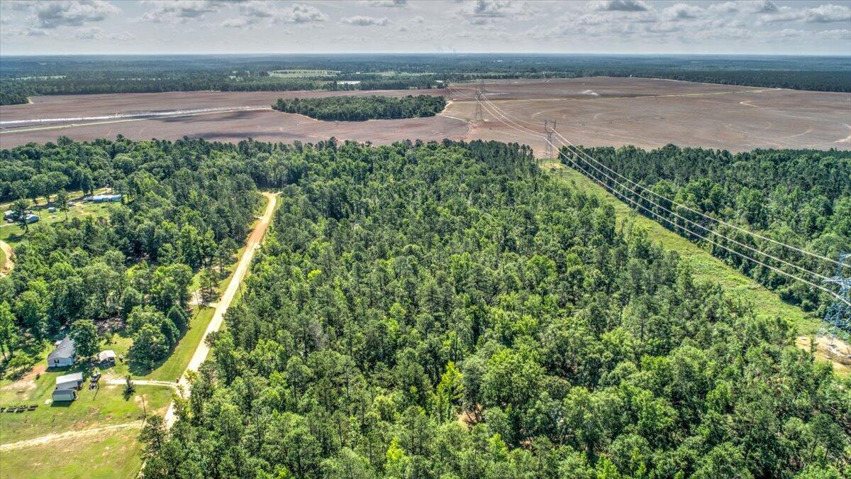 2544 Pine Needle Road