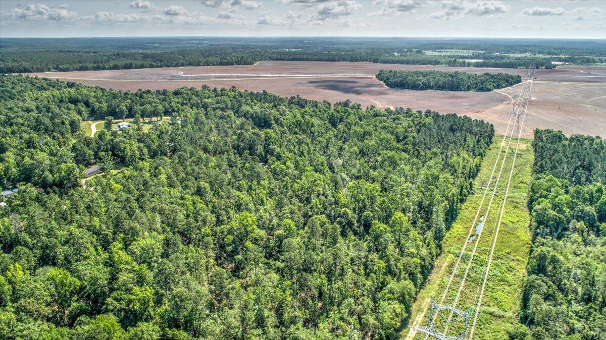 2544 Pine Needle Road