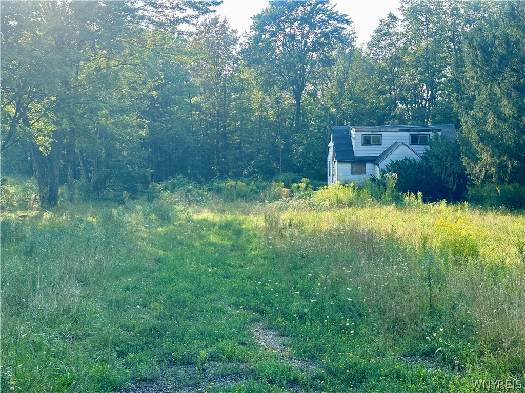 8486 Feddick Road