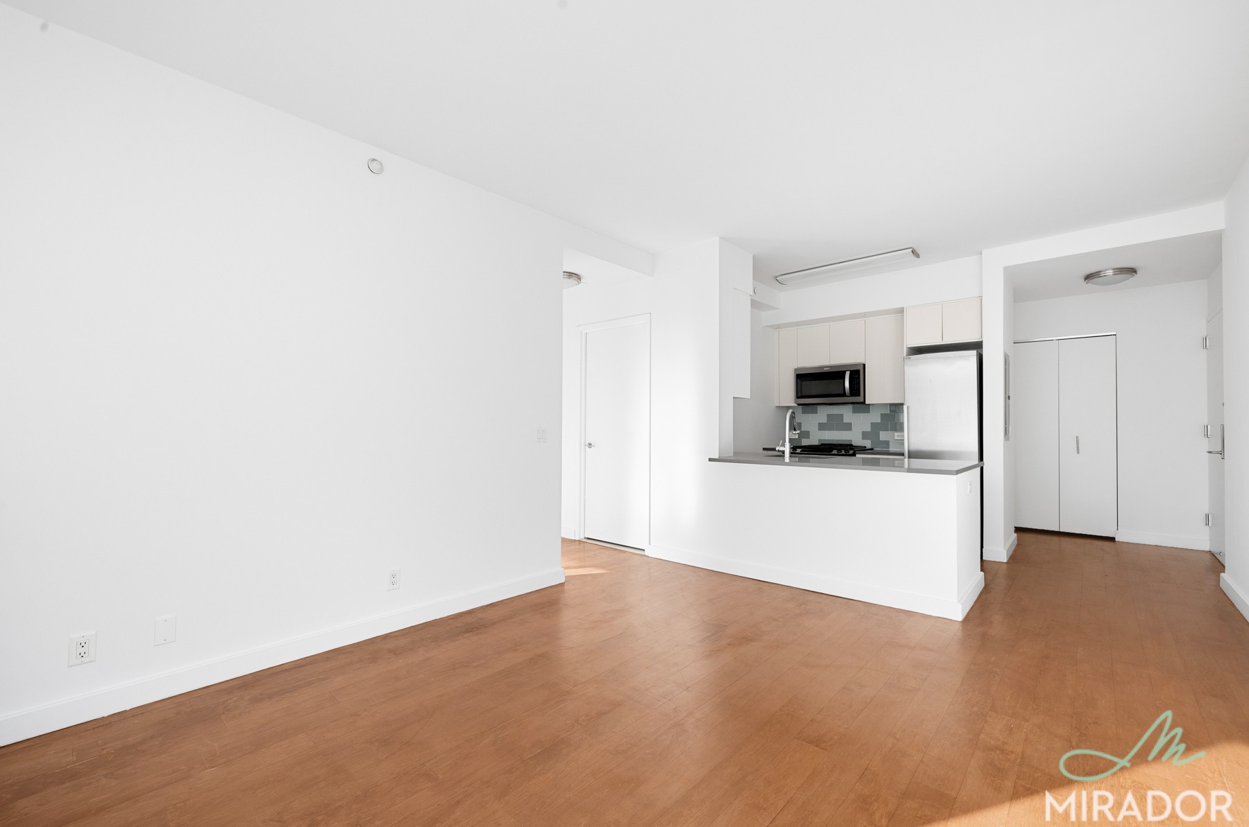 80 Dekalb Avenue 19N