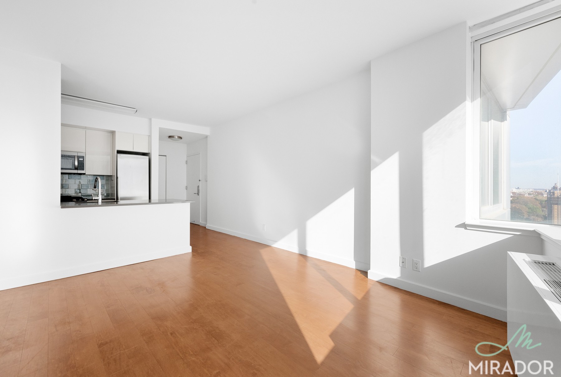 80 Dekalb Avenue 19N