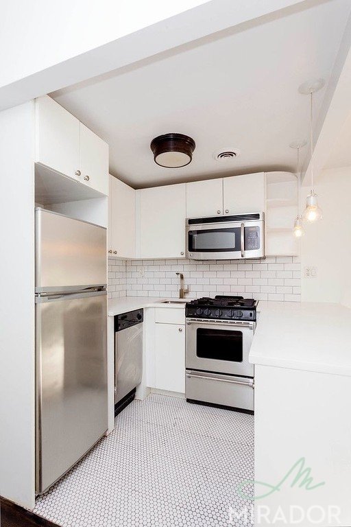 255 W 14th Street 3D