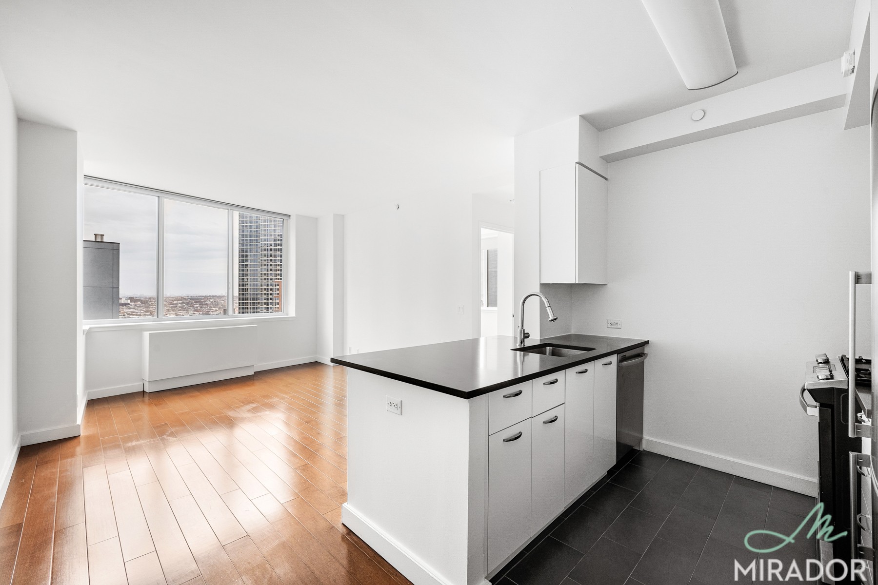 80 Dekalb Avenue 24N