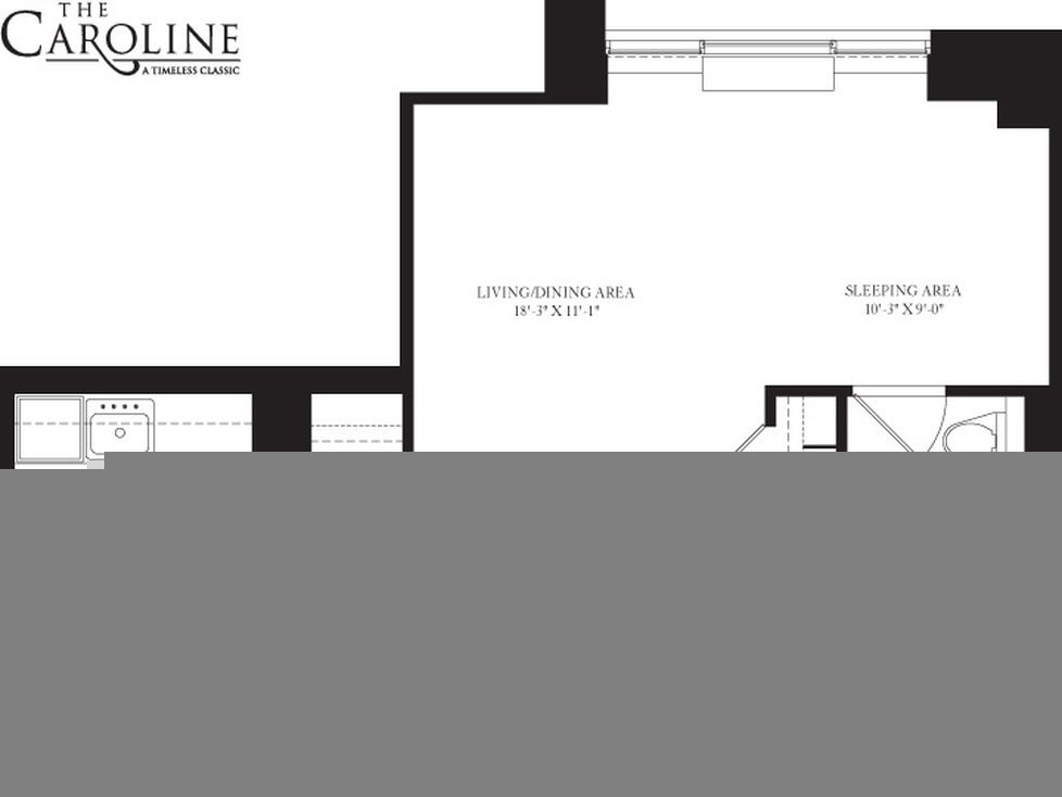 60 W 23rd Street 927