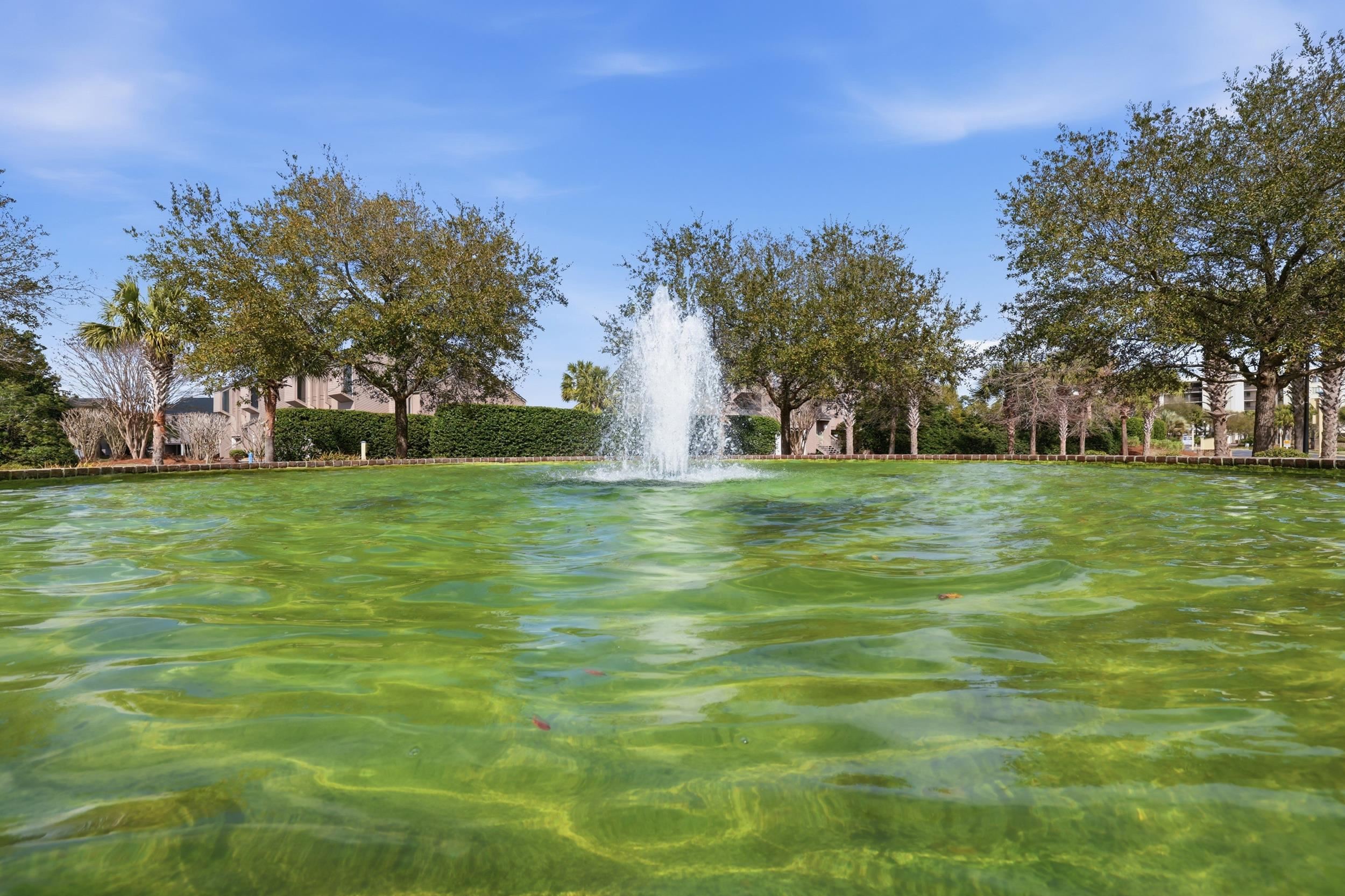 163 Heron Marsh Dr. Unit: 61