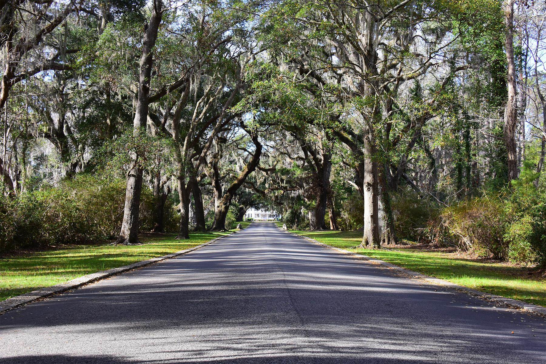 202 Spreading Oak Dr.