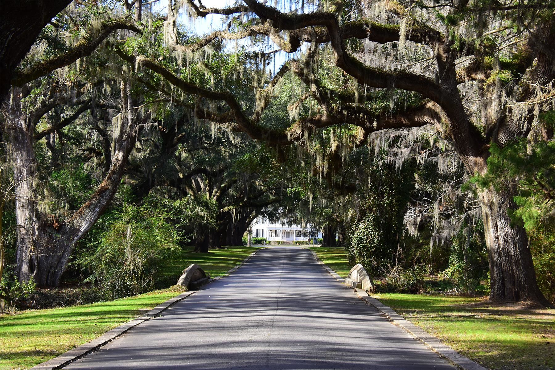 202 Spreading Oak Dr.