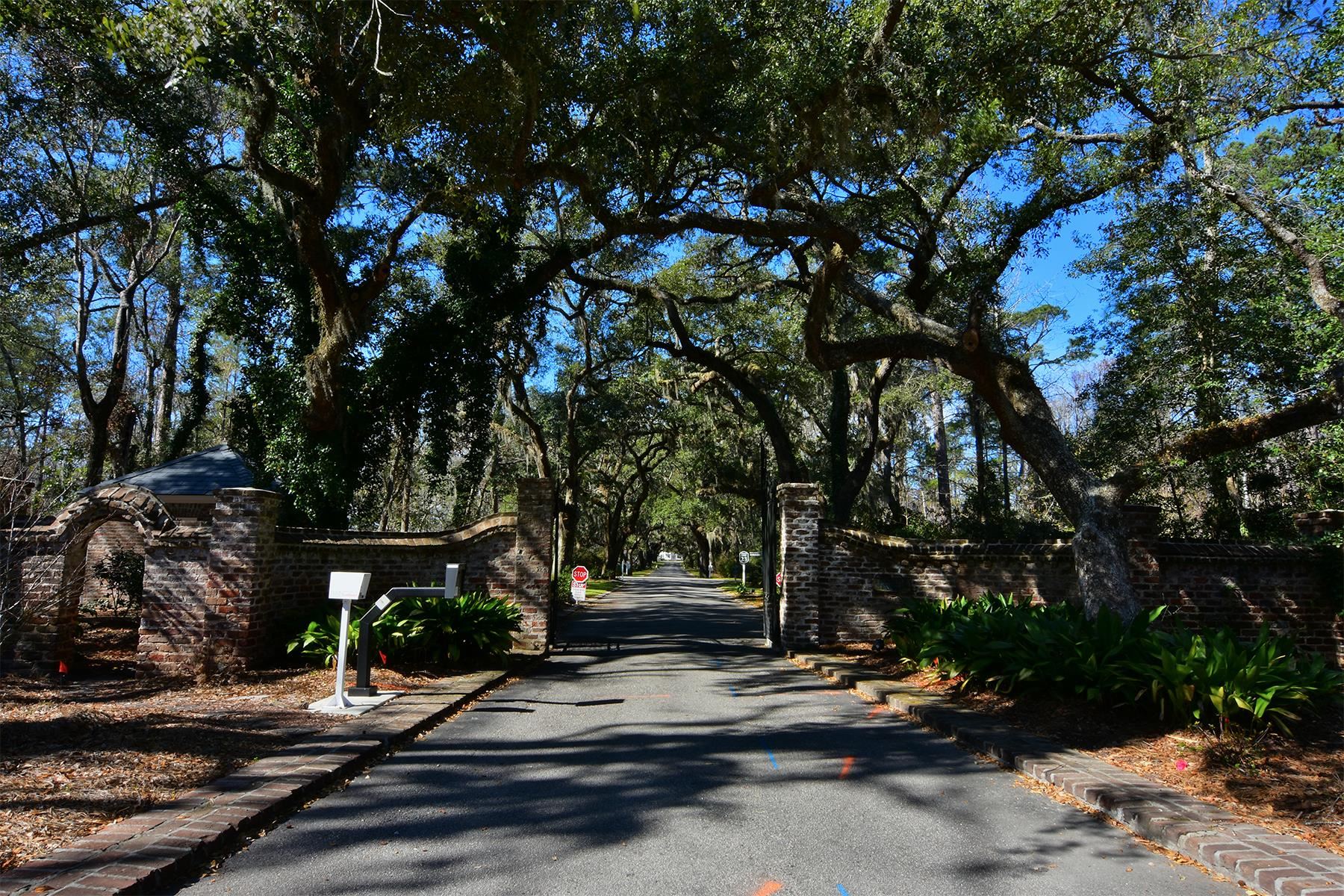 202 Spreading Oak Dr.