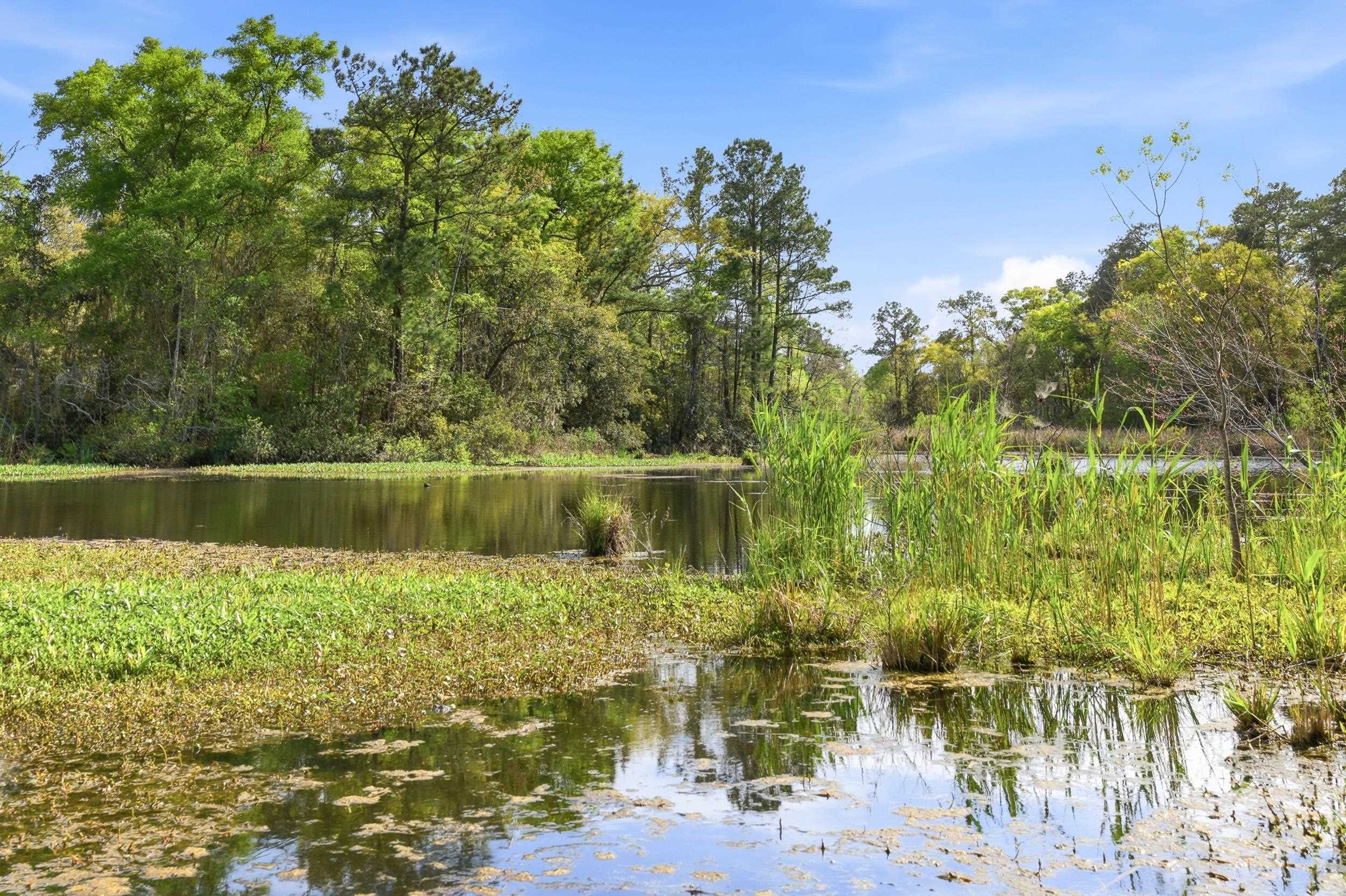 172 Half Moon Trail