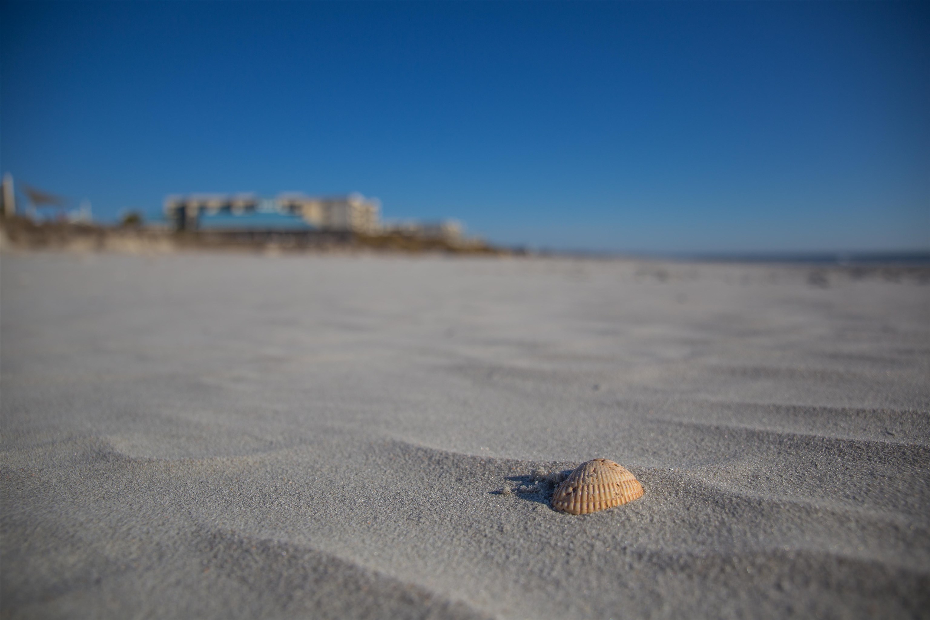 125 S South Dunes Dr. Unit: 101