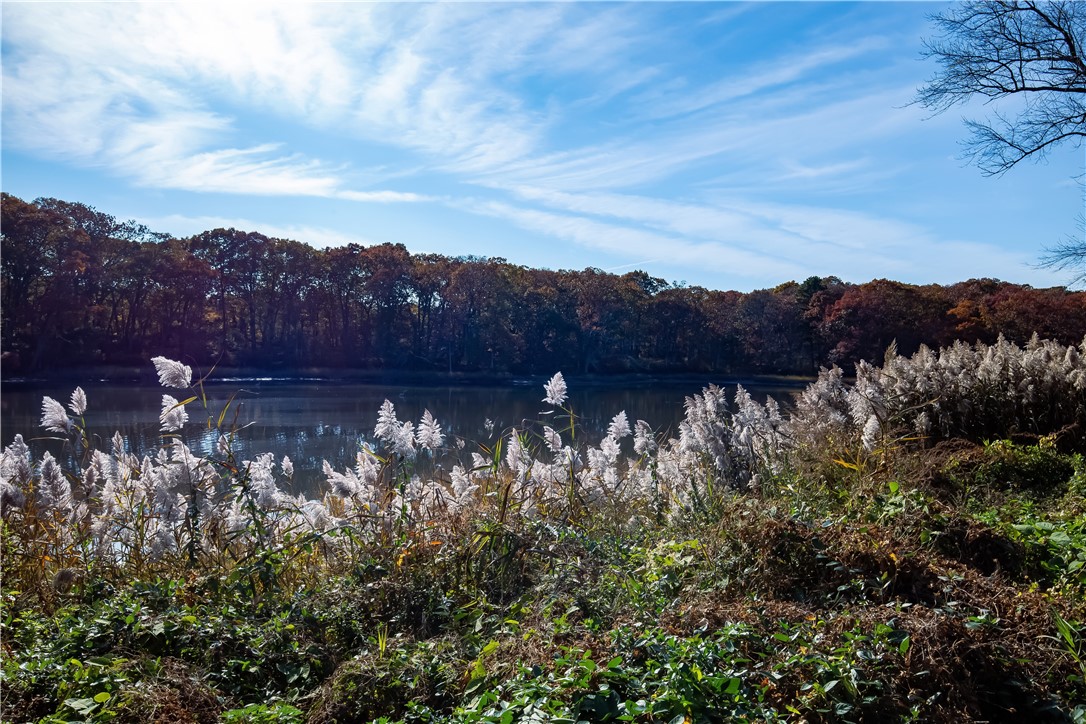 210 Pinegrove Avenue