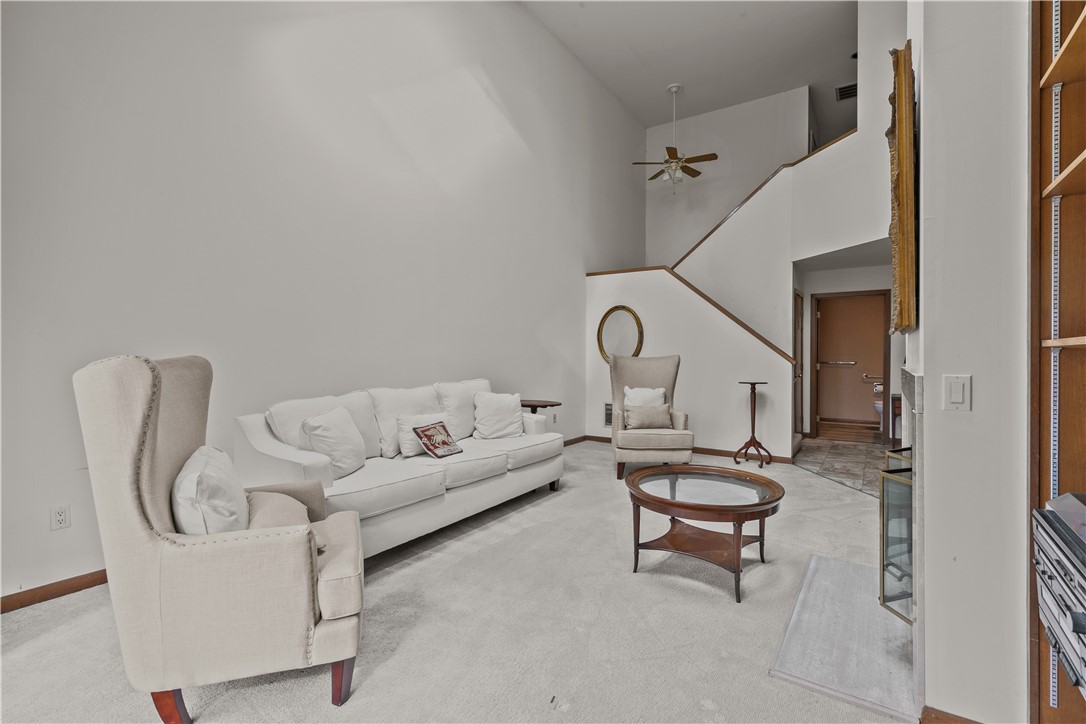 35 Bagy Wrinkle Cove