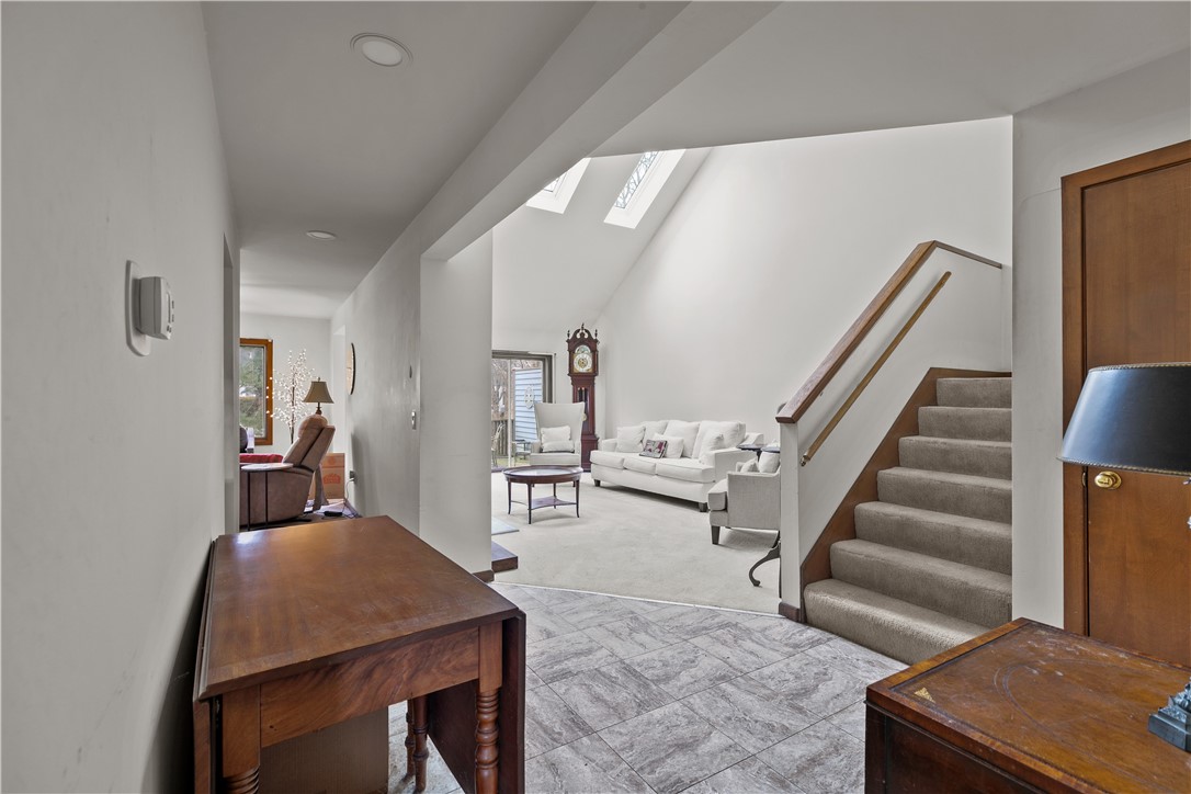 35 Bagy Wrinkle Cove