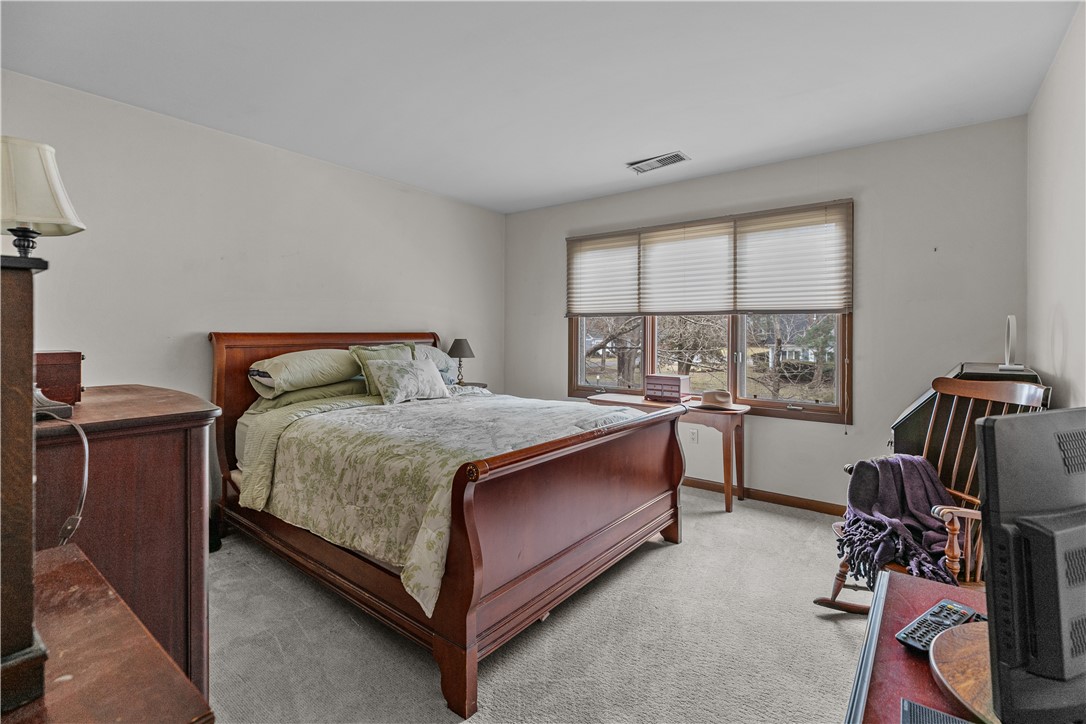 35 Bagy Wrinkle Cove