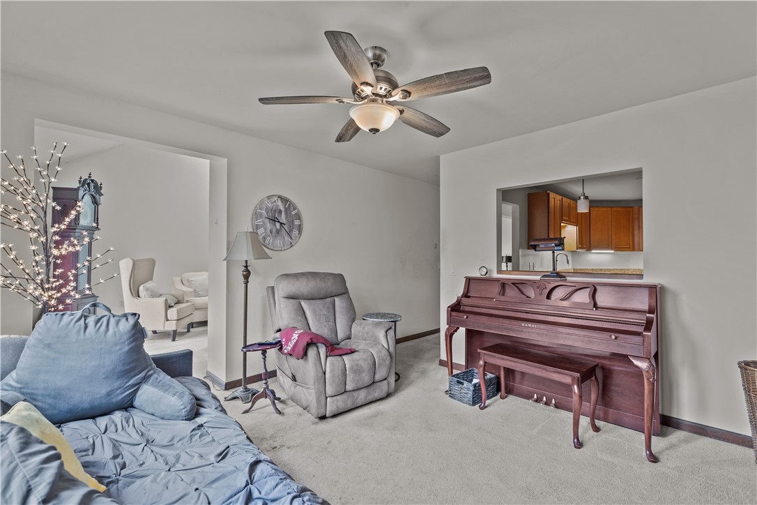 35 Bagy Wrinkle Cove