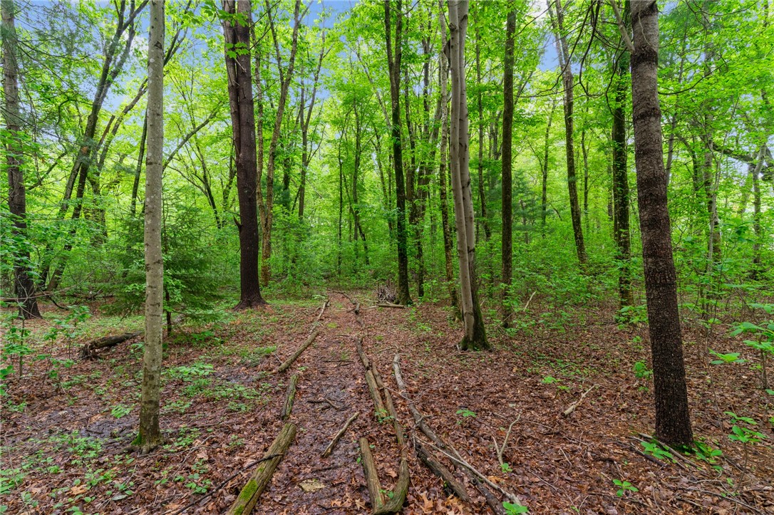 254 South Pierce Road