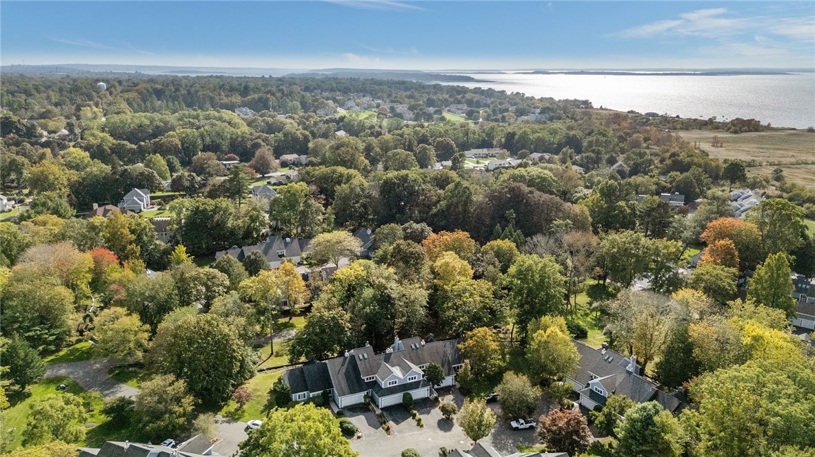 35 Bagy Wrinkle Cove