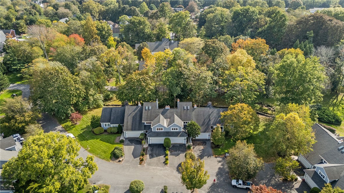 35 Bagy Wrinkle Cove