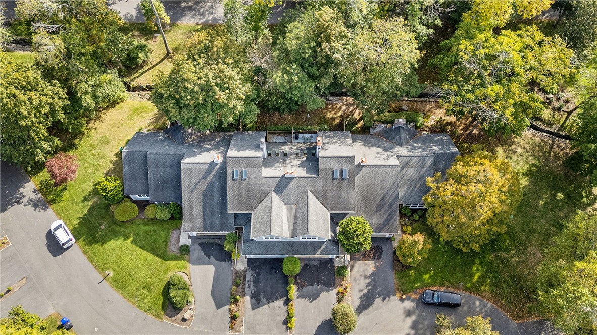 35 Bagy Wrinkle Cove