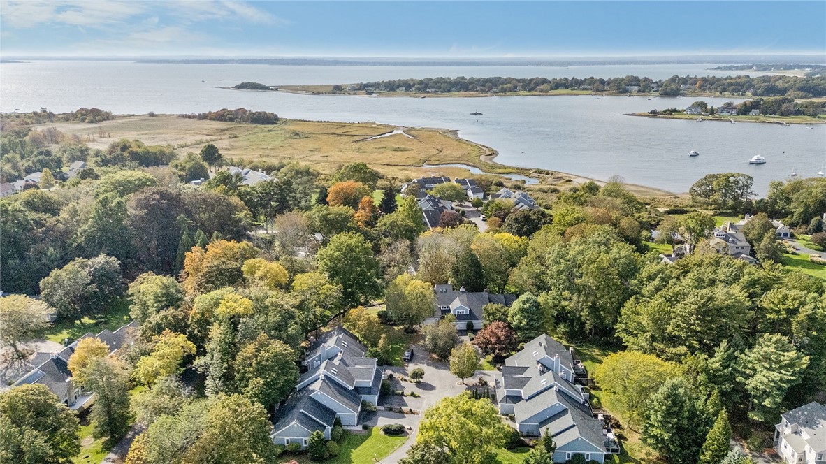 35 Bagy Wrinkle Cove