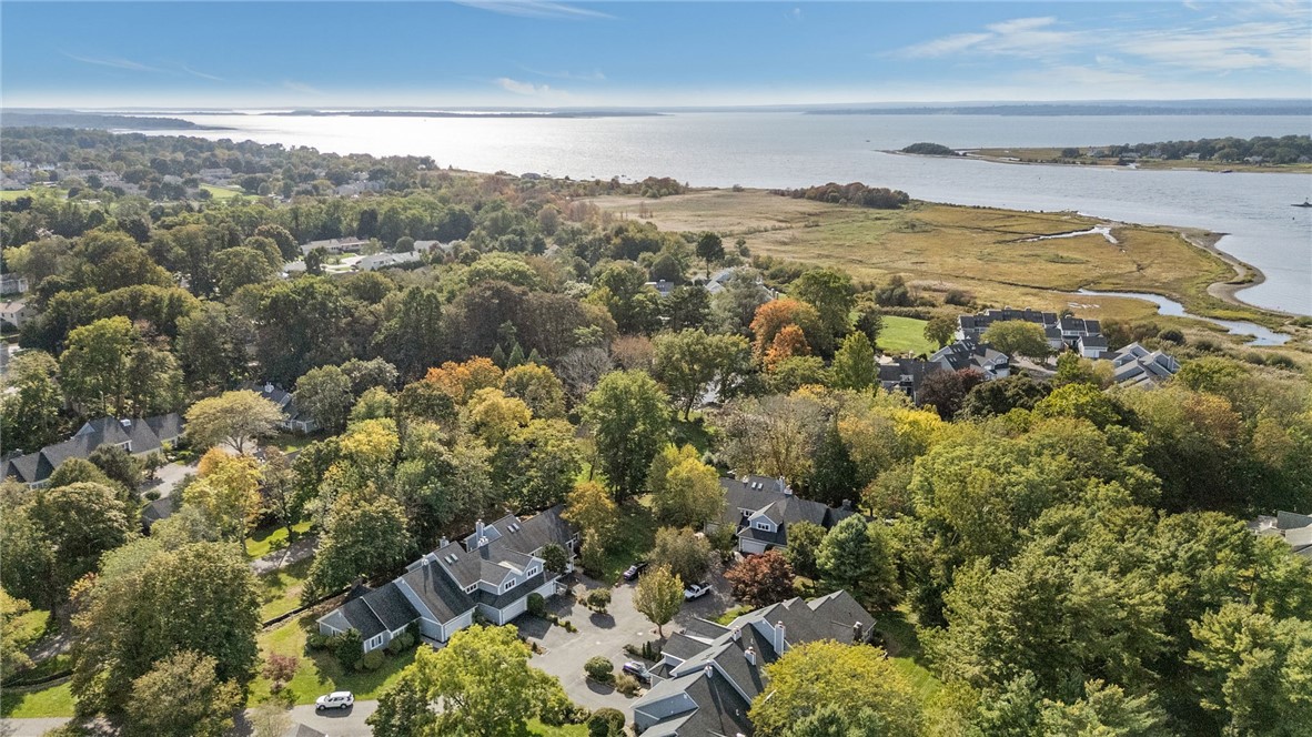 35 Bagy Wrinkle Cove