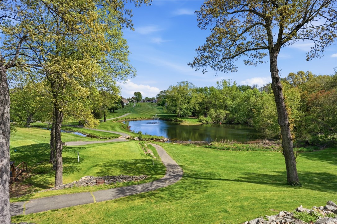 10 Cutters Green B