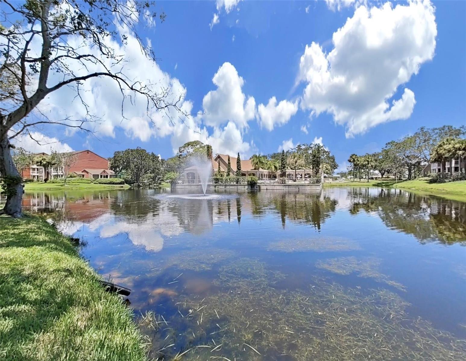 10200 GANDY BLVD N #1225