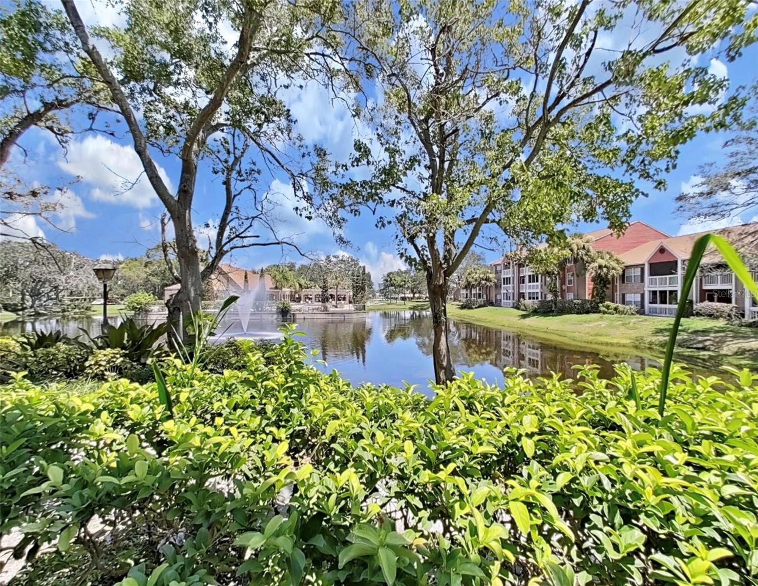 10200 GANDY BLVD N #1225