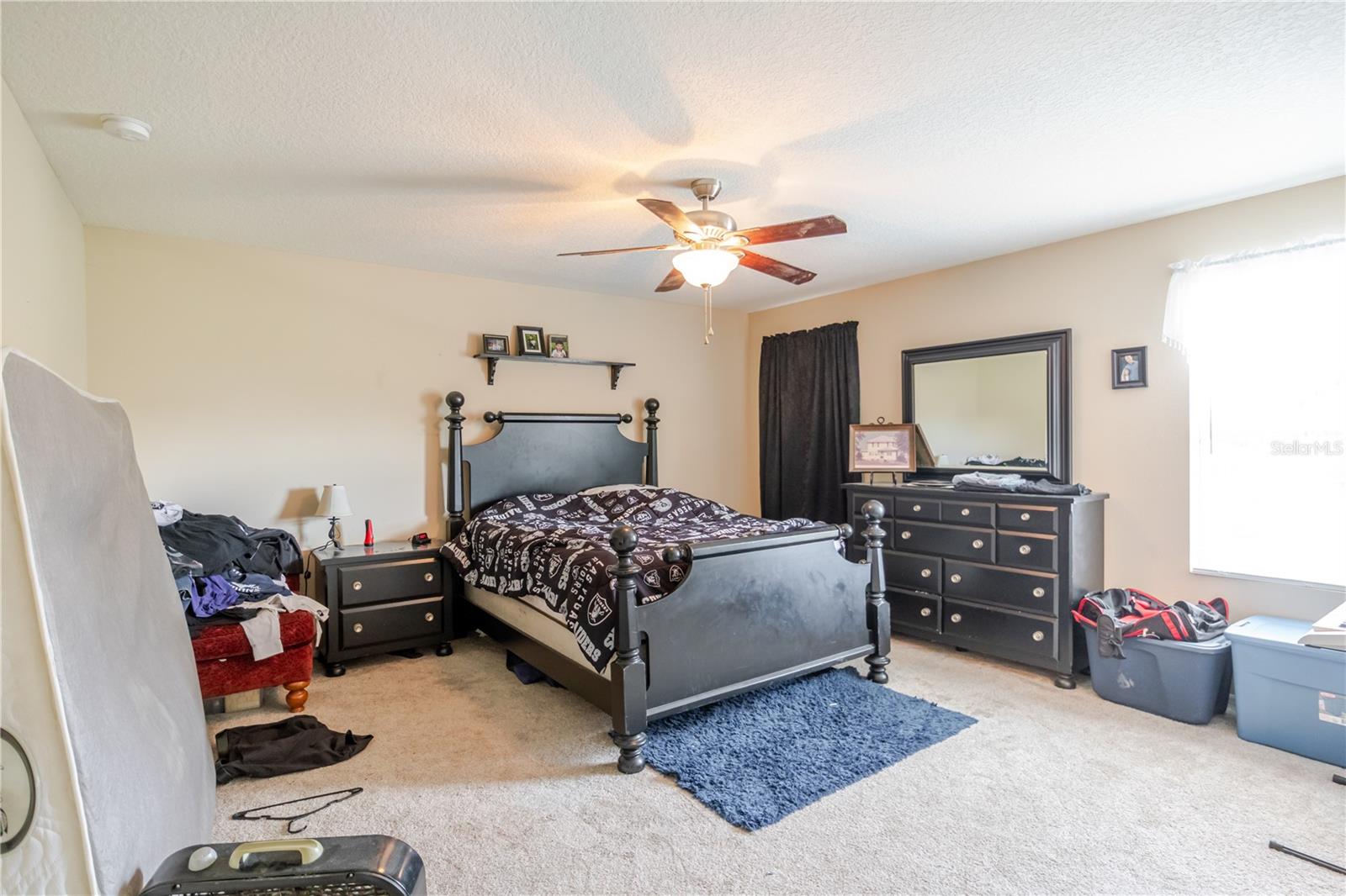 11135 HARTFORD FERN DR