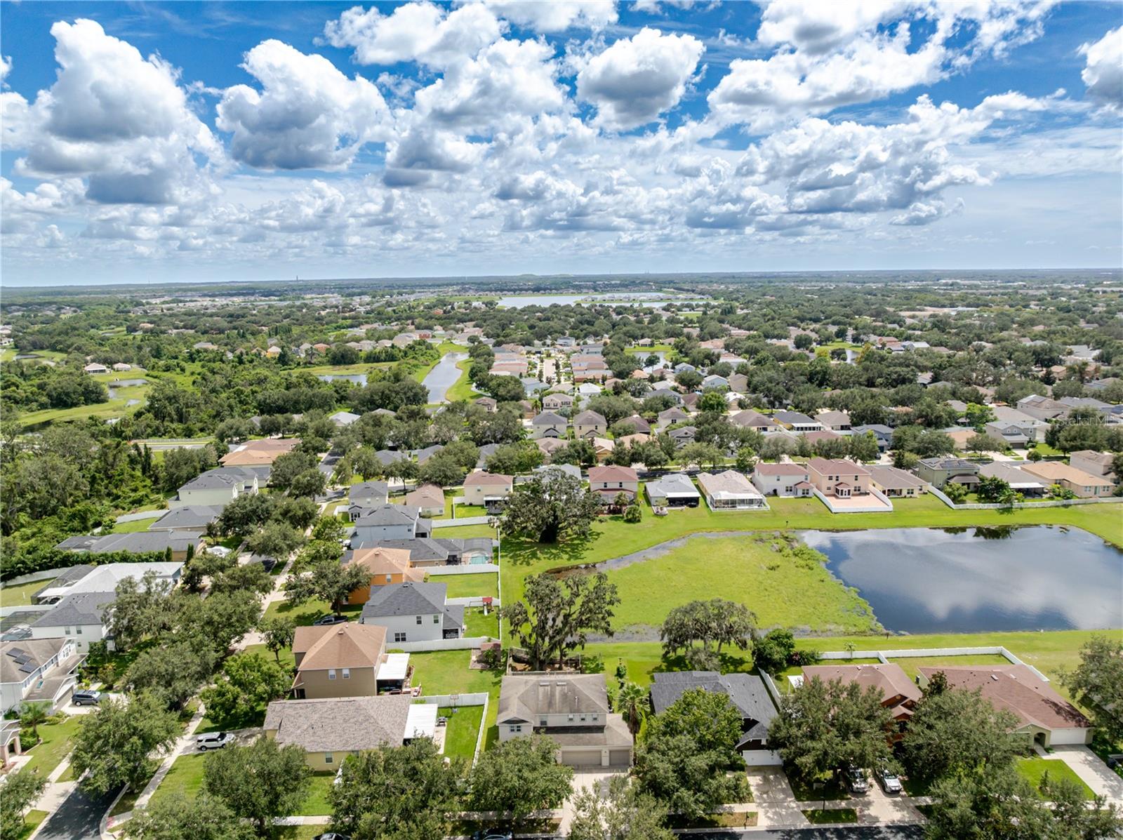 11135 HARTFORD FERN DR