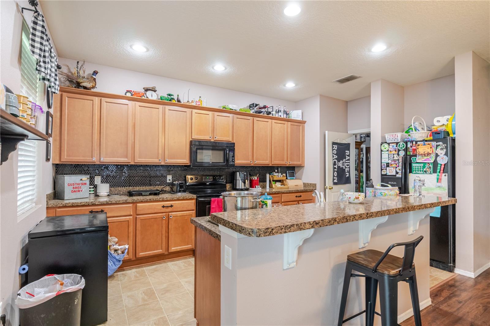 11135 HARTFORD FERN DR