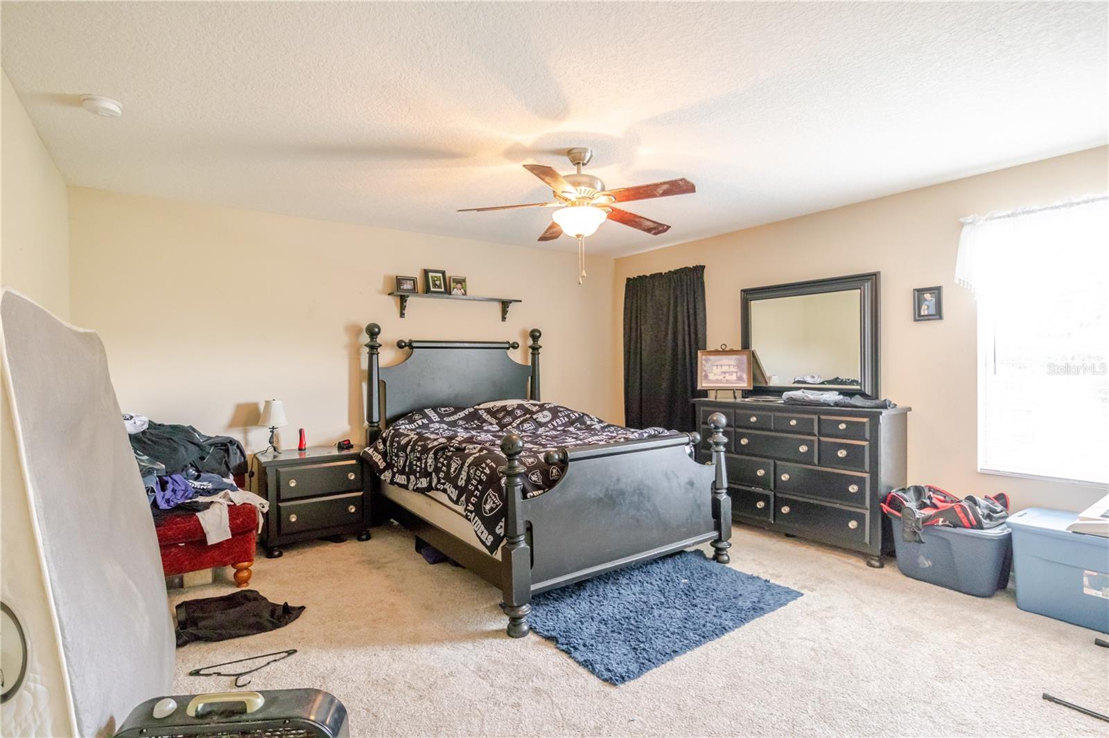 11135 HARTFORD FERN DR