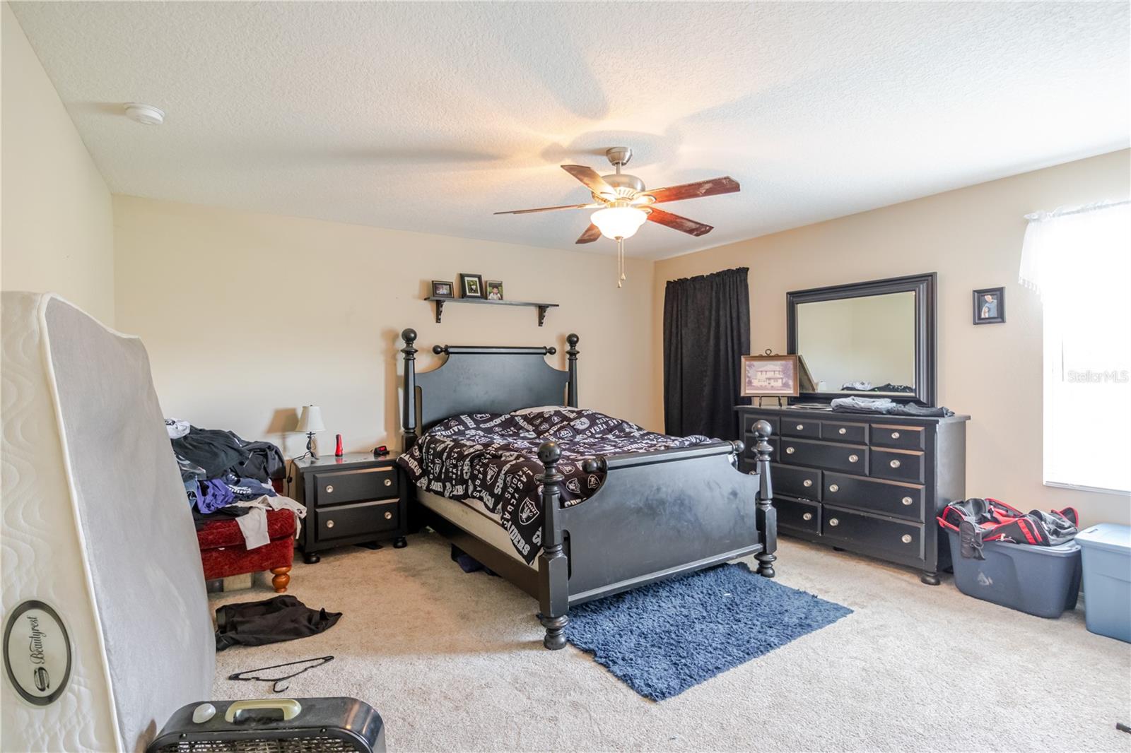 11135 HARTFORD FERN DR