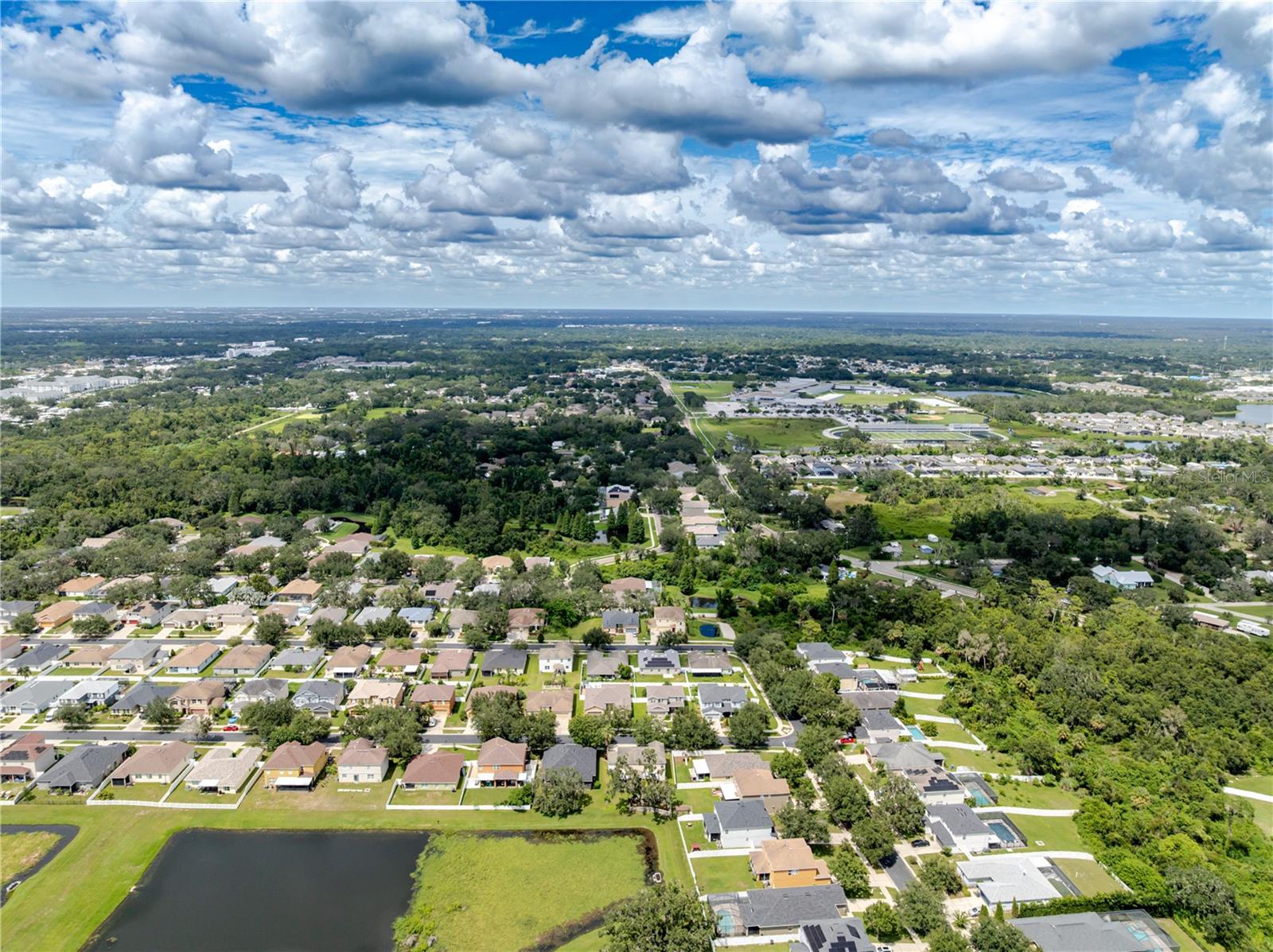 11135 HARTFORD FERN DR