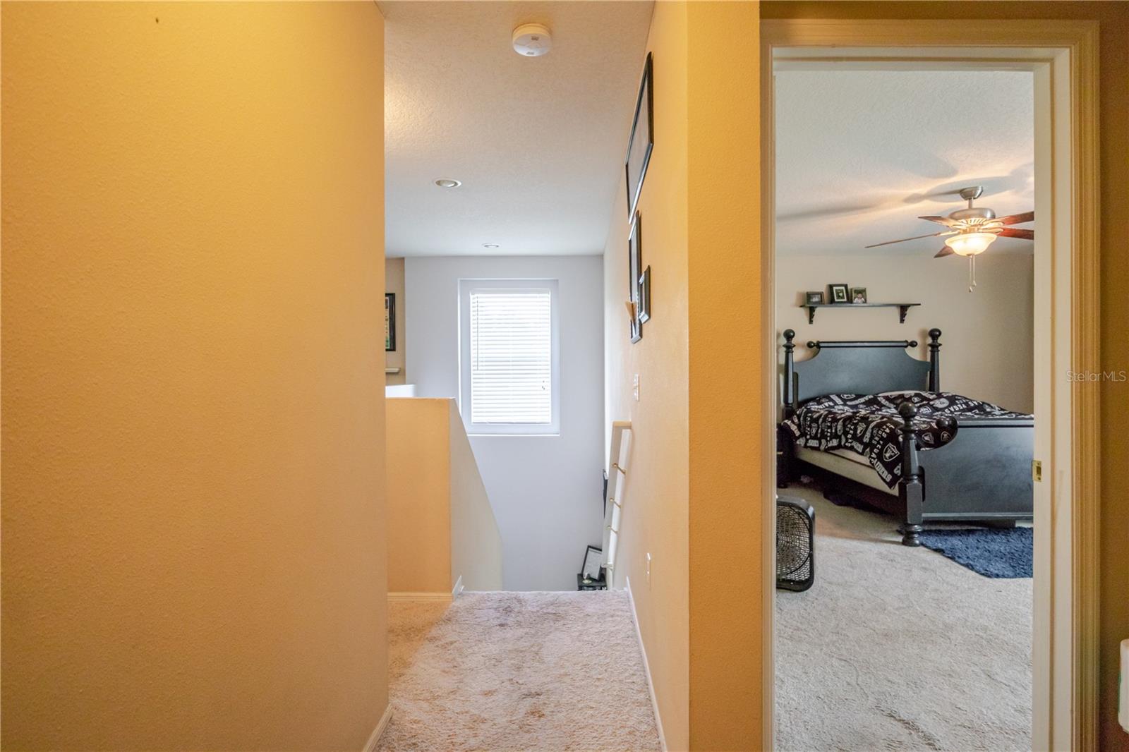 11135 HARTFORD FERN DR