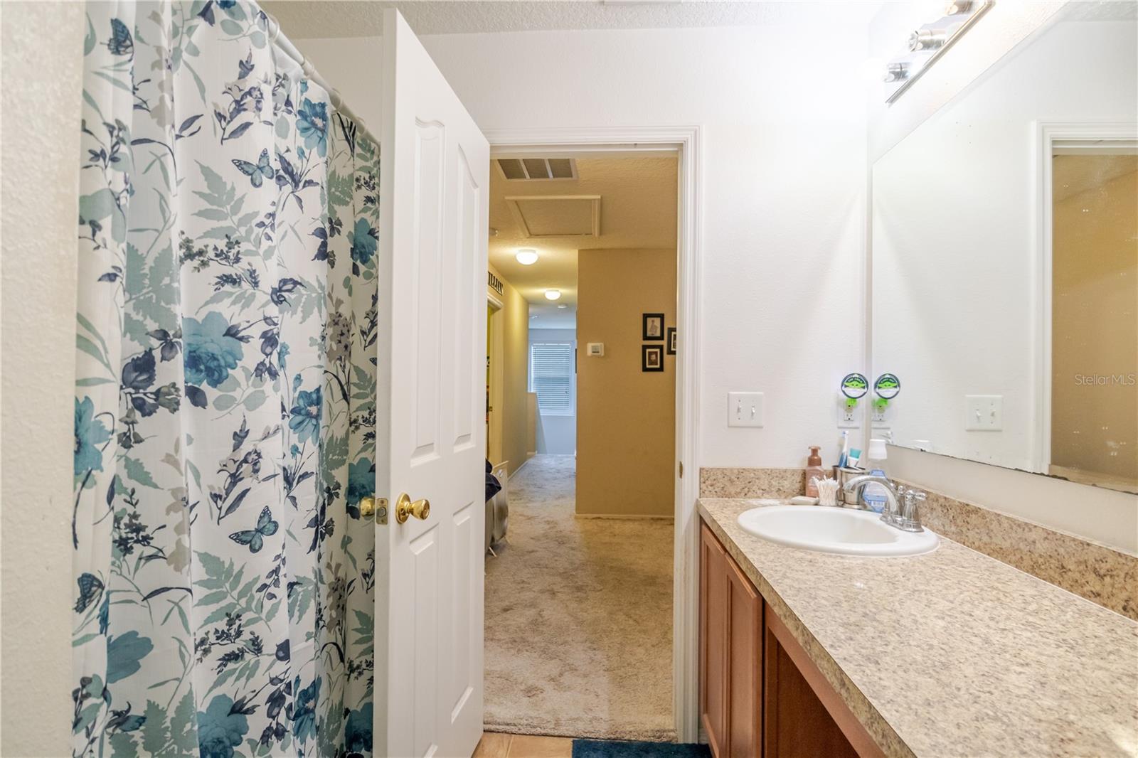 11135 HARTFORD FERN DR