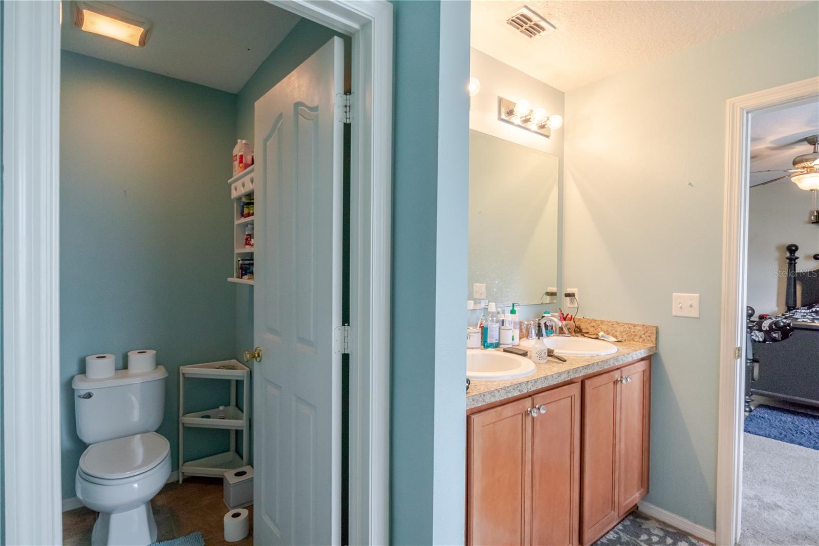 11135 HARTFORD FERN DR