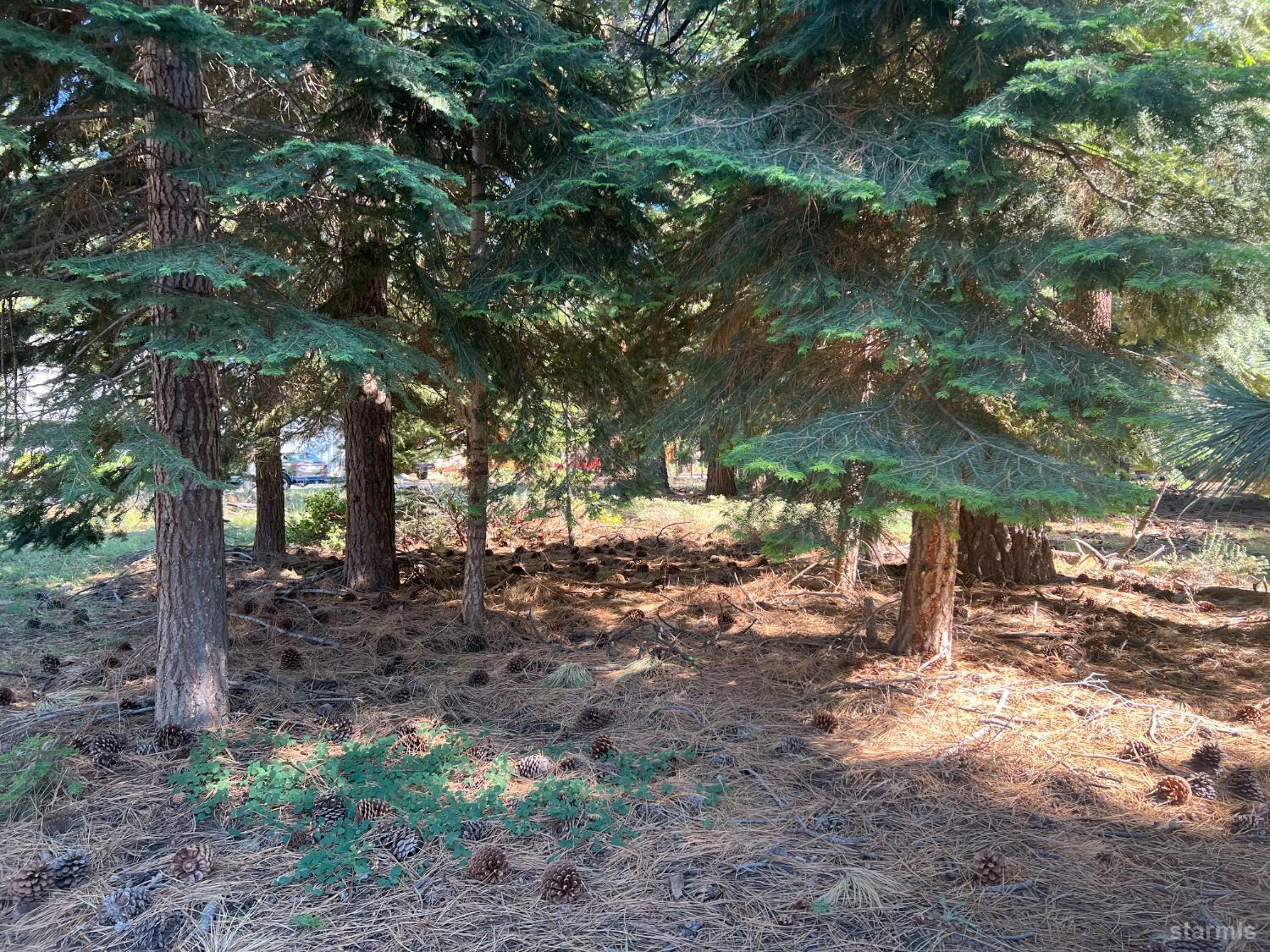 650 Tahoe Island Drive