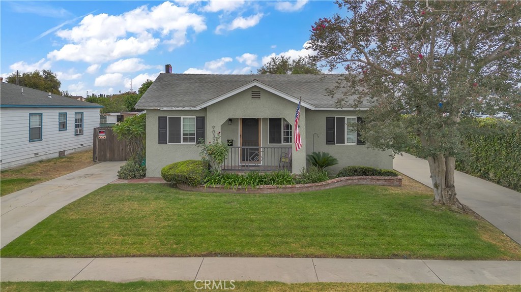9032 Walnut